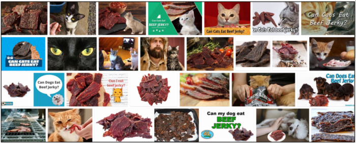 Can Cats Safely Eat Beef Jerky? Expert Insights & Guidelines