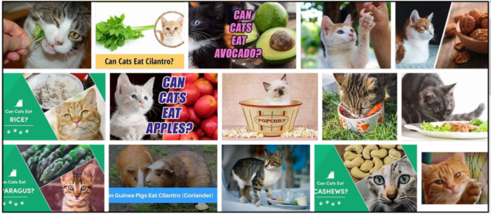 Can Cats Safely Eat Cilantro? Discover the Truth & Benefits for Your Feline
