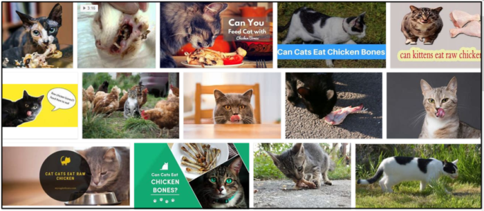 Are Chicken Bones Safe for Cats? A Comprehensive Guide for Pet Owners