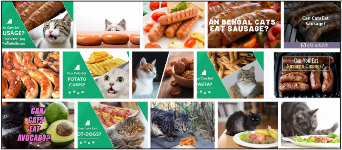 Are Sausages Safe for Cats? Expert Advice & Health Tips