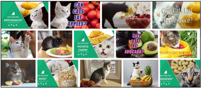Can Cats Safely Eat Applesauce? Expert Insights & Feeding Guidelines