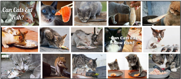 Can Cats Safely Eat Fish? Expert Tips for Feeding Your Feline