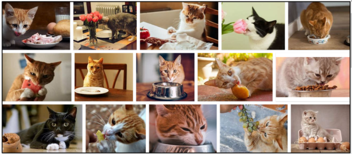 Are Roses Safe for Cats? Expert Answers to Common Concerns