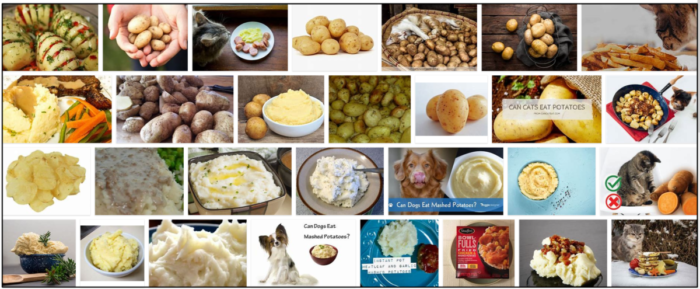 Can Cats Safely Consume Mashed Potatoes? A Veterinary Guide