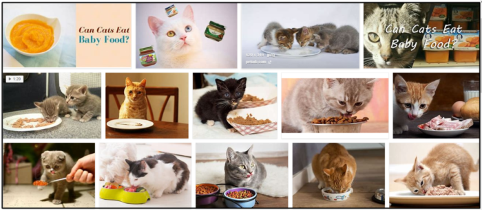 Are Baby Foods Safe for Cats? Expert Advice on Feeding Your Feline