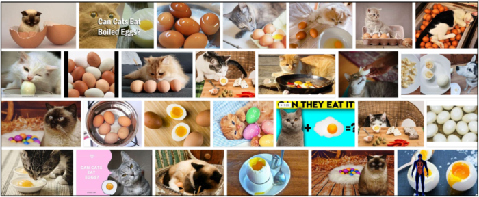 Are Boiled Eggs Safe for Cats? The Complete Guide