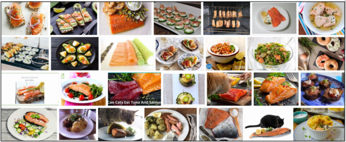 Can Cats Safely Eat Smoked Salmon? A Trusted Guide to Your Pet’s Diet