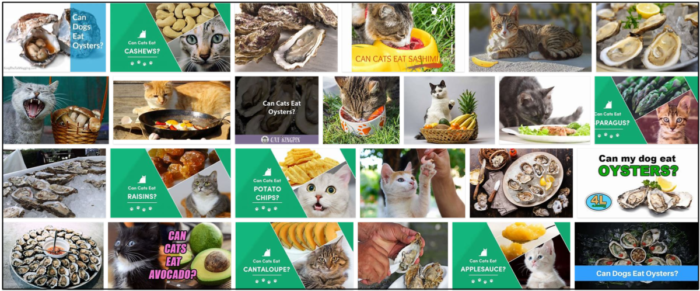Can Cats Safely Eat Oysters? A Clear, Expert Guide