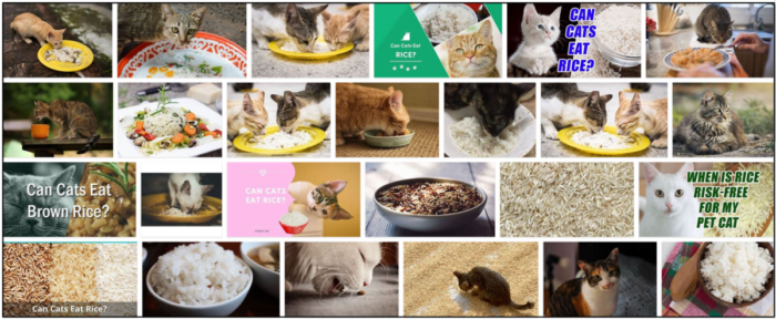 Is White Rice Safe for Cats? Expert Insights & Benefits