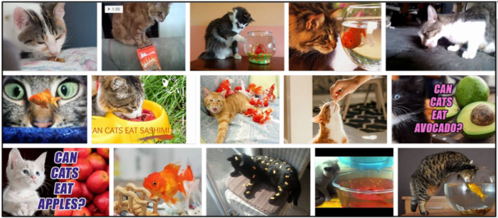 Can Cats Safely Eat Goldfish? A Comprehensive Guide