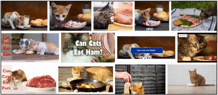 Can Cats Safely Consume Ham? Expert Advice for a Healthy Cat Diet
