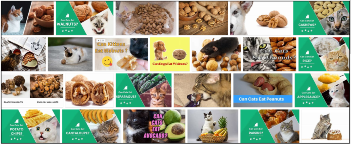 Are Walnuts Safe for Cats? A Trusted Guide to Their Health Benefits & Risks