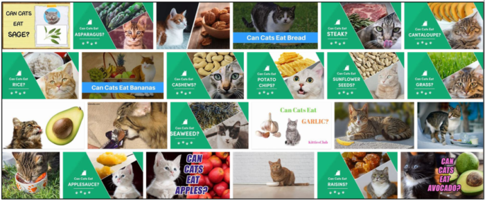 Can Cats Safely Consume Sage? Expert Guide to Their Tolerance and Risks