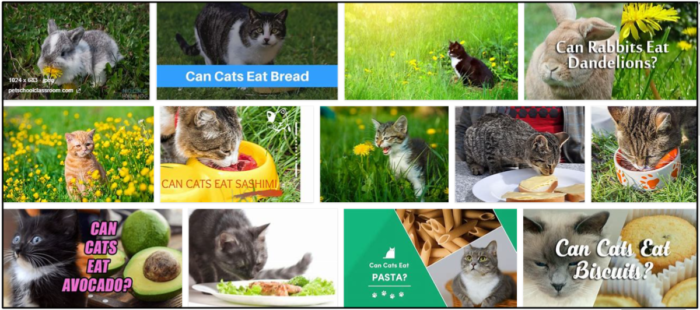 Cats and Dandelions: Safe Consumption and Health Insights