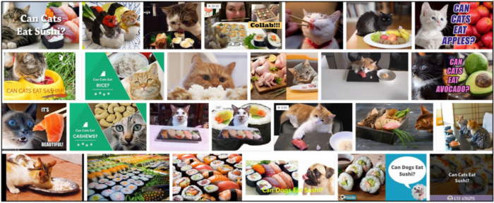 Can Cats Safely Eat Sushi? Expert Guide to Feeding Your Feline