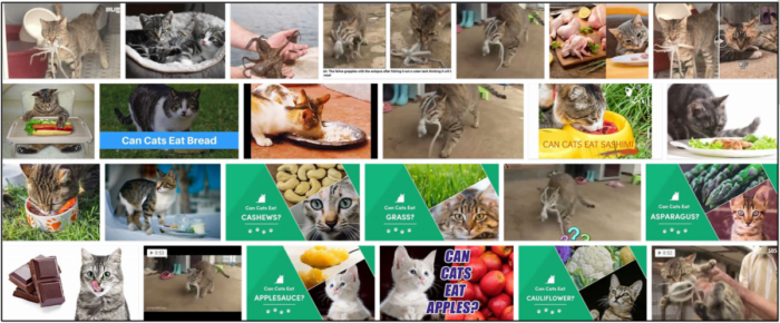Can Cats Safely Consume Octopus? A Comprehensive Guide