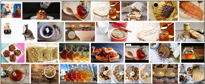 Is Maple Syrup Safe for Cats? Expert Advice on Feeding and Diet