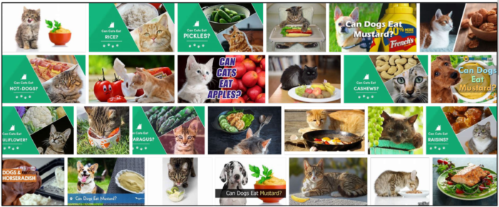 Can Cats Safely Eat Mustard? A Clear Guide for Pet Owners