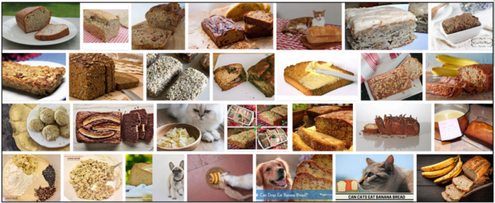 Are Cats Safe to Eat Banana Bread? Expert Guidelines & Tips