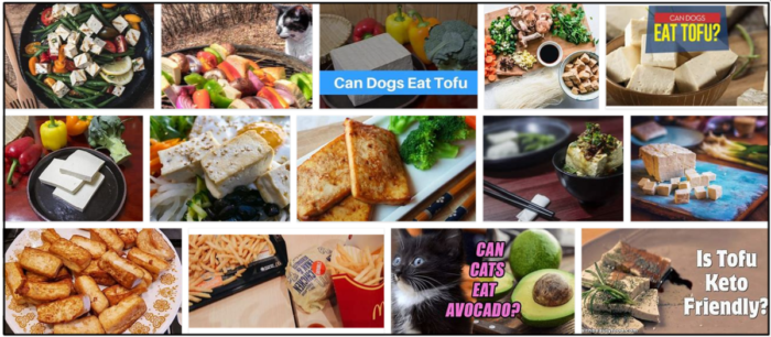 Can Cats Safely Eat Tofu? Expert Insights & Feeding Guidelines