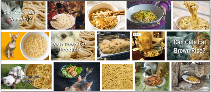 Are Noodles Safe for Cats? A Vet-Approved Guide