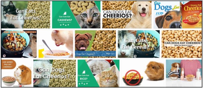Are Cheerios Safe for Cats? Expert Insights & Tips