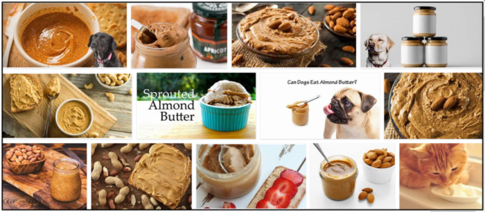 Can Cats Safely Eat Almond Butter? Expert Insights & Health Considerations