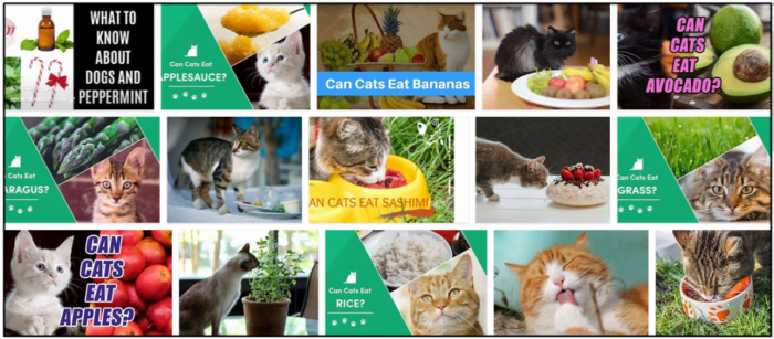 Can Cats Safely Consume Peppermint? Expert Feeding Tips and Guidelines