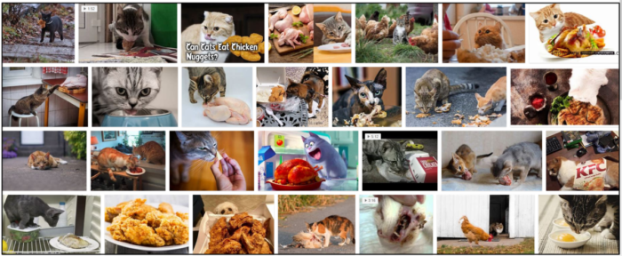 Is Fried Chicken Safe for Cats? Expert Guidance on Feeding Your Feline