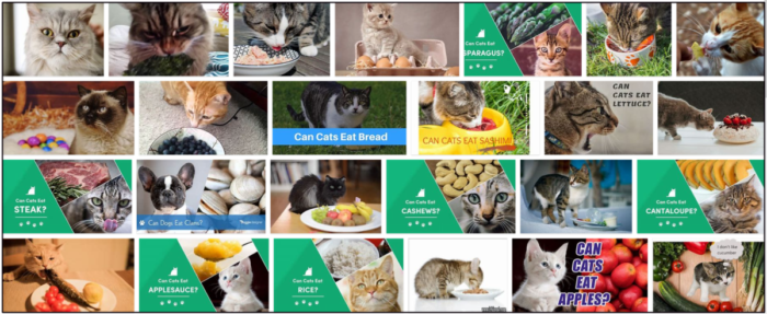 Are Clams Safe for Cats? Expert Insights on Feeding Your Feline