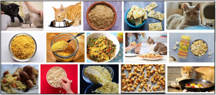 Is Nutritional Yeast Safe for Cats? Expert Insights & Guidelines