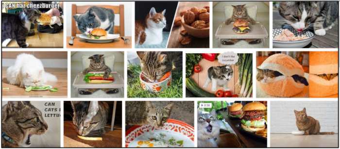 Can Cats Safely Eat Hamburger? Expert Insights & Guidelines