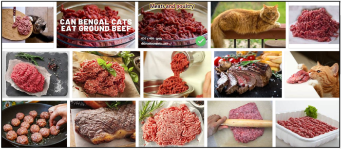 Ground Beef for Cats: Safe, Nutritious, and How to Serve It Safely