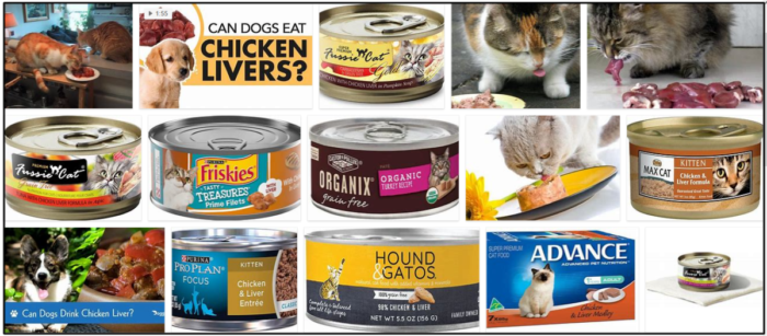 Is Chicken Liver Safe for Cats? A Guide to a Healthy Diet