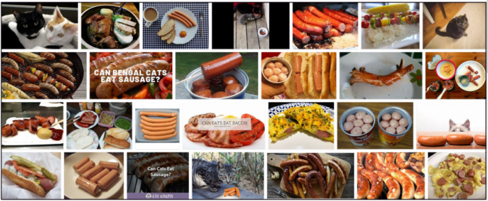 Can Cats Safely Eat Vienna Sausage? Expert Feeding Tips