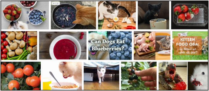Can Cats Safely Eat Berries? A Comprehensive Guide