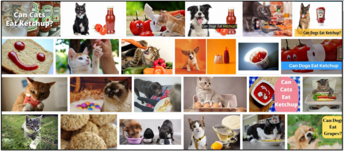 Can Cats Safely Consume Ketchup? Key Diet Tips for Pet Owners