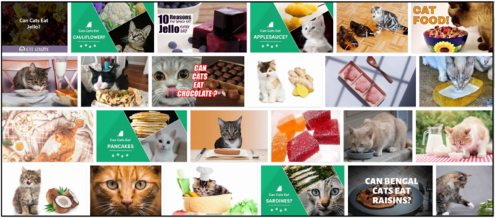 Is Jello Safe for Cats? A Guide to Healthy Treats