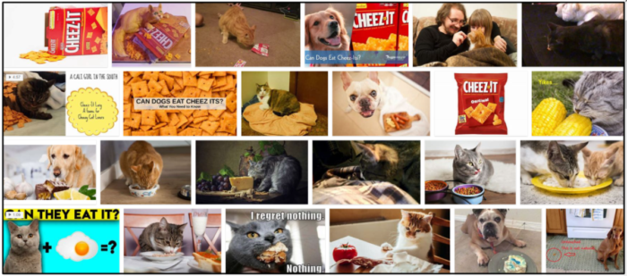 Are Cheez‑Its Safe for Cats? Expert Guidance & Tips