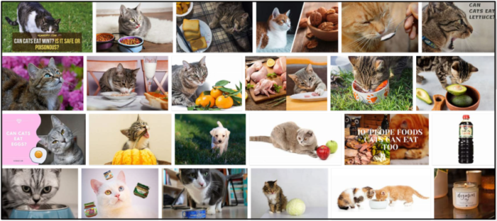 Can Cats Consume Soy? Expert Insights on Safety and Health