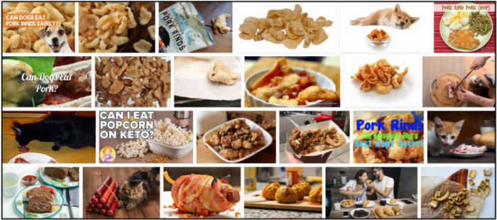 Are Pork Rinds Safe for Cats? What You Need to Know