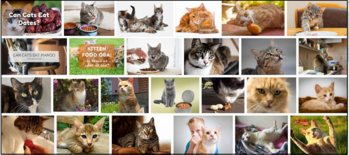 Can Cats Safely Eat Dates? A Guide to Healthy Feline Nutrition