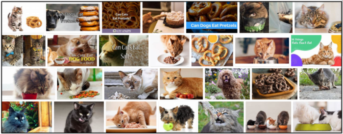 Can Cats Safely Eat Pretzels? What You Need to Know