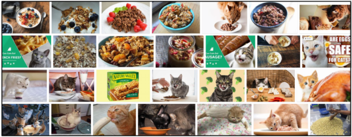 Granola and Cats: Is It Safe to Feed Your Feline?