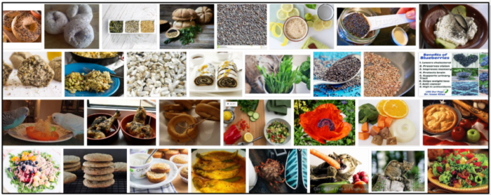 Are Poppy Seeds Safe for Cats? Risks, Effects, and Care Tips