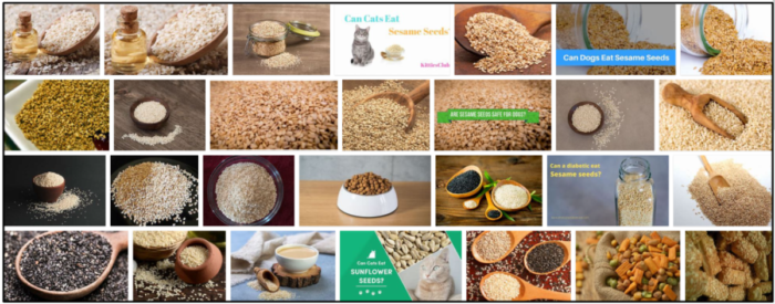 Are Sesame Seeds Safe for Cats? Nutritional Insights & Feeding Guidance