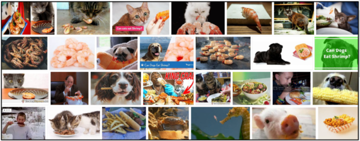 Is It Safe for Cats to Eat Shrimp Tails? Expert Guide