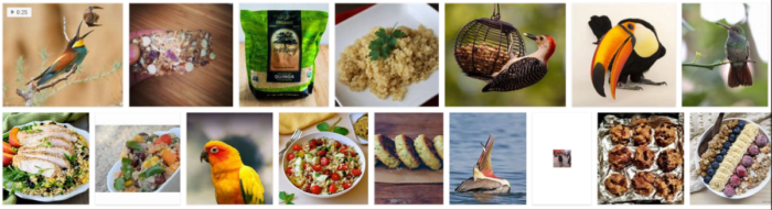 Is Quinoa Safe for Birds? Expert Review & Feeding Tips