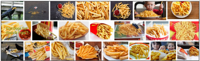 Are French Fries Safe for Birds? Expert Nutrition Guide