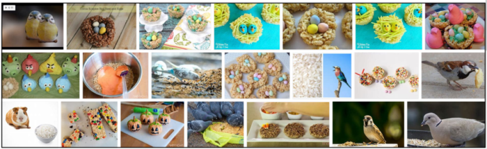 Are Birds Safe to Feed Rice Krispies? The Facts You Need to Know